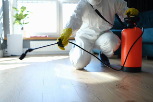 Reliable Infectious Disease Decontamination contractor in Norco, CA by Trauma Clean Pros